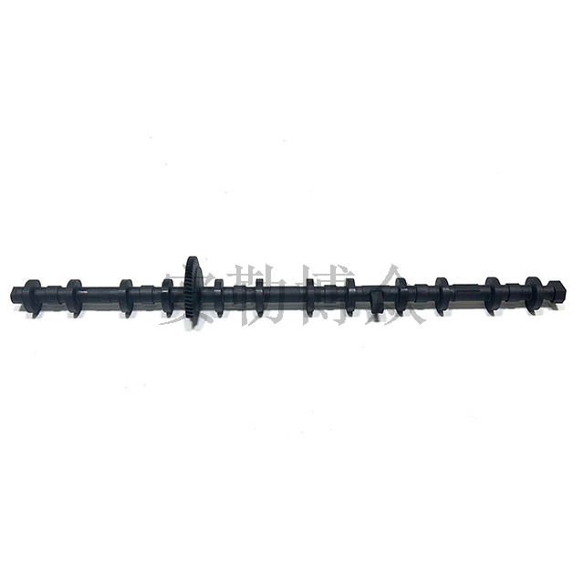 N55 Eccentric Shaft