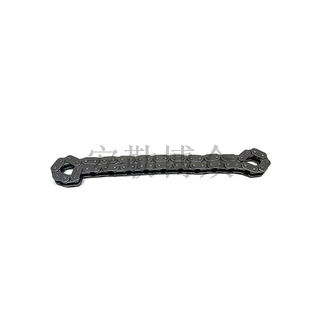 N12/N13N14/N46 Oil pump chain