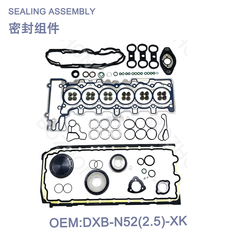 N52 2.5 NEW Major repair package